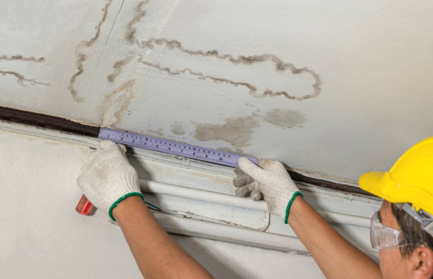 Reliable Water Damage contractor in Bainbridge Island, WA by Water Damage Irwin
